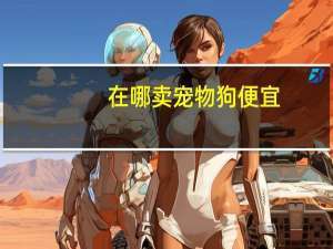 在哪卖宠物狗便宜