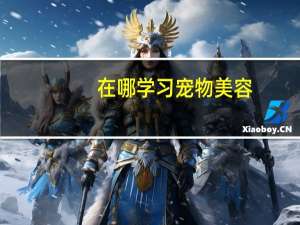 在哪学习宠物美容