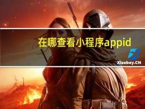在哪查看小程序appid