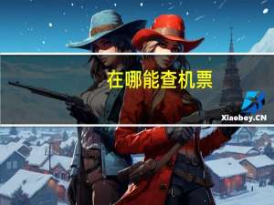 在哪能查机票