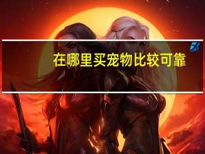 在哪里买宠物比较可靠