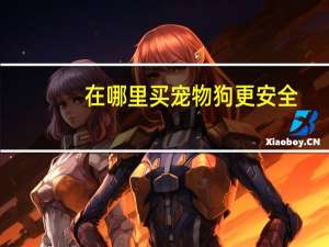 在哪里买宠物狗更安全