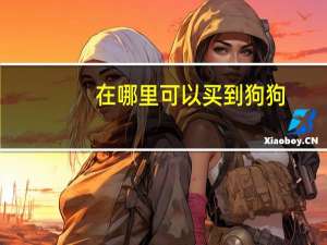 在哪里可以买到狗狗