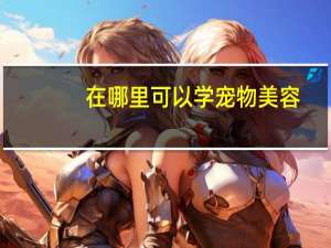 在哪里可以学宠物美容