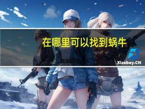 在哪里可以找到蜗牛