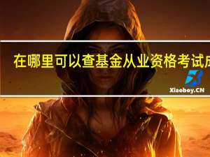 在哪里可以查基金从业资格考试成绩