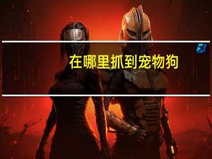 在哪里抓到宠物狗