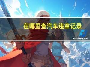在哪里查汽车违章记录