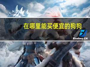 在哪里能买便宜的狗狗