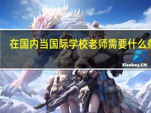 在国内当国际学校老师需要什么条件