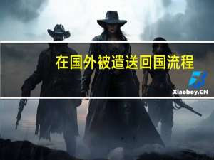 在国外被遣送回国流程