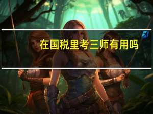在国税里考三师有用吗