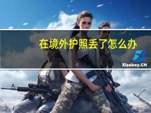 在境外护照丢了怎么办