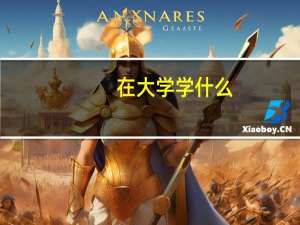 在大学学什么