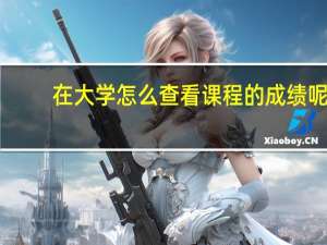 在大学怎么查看课程的成绩呢