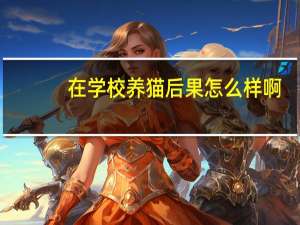 在学校养猫后果怎么样啊