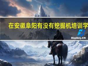 在安徽阜阳有没有挖掘机培训学校，都在什么地方