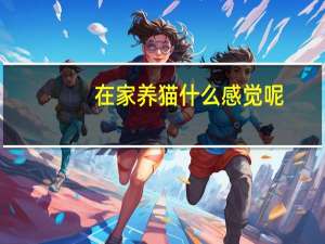 在家养猫什么感觉呢