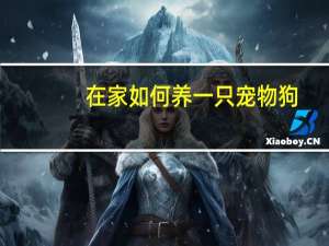 在家如何养一只宠物狗