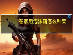 在家用泡沫箱怎么种菜