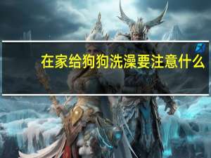 在家给狗狗洗澡要注意什么