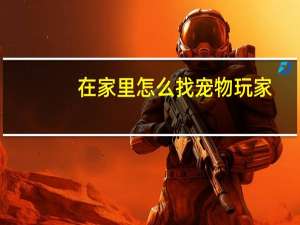在家里怎么找宠物玩家