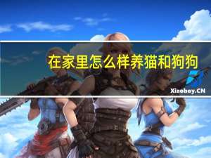 在家里怎么样养猫和狗狗