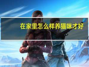 在家里怎么样养猫咪才好