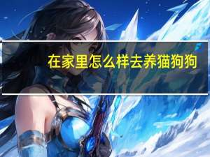 在家里怎么样去养猫狗狗