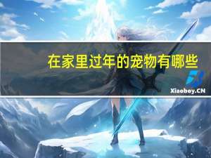 在家里过年的宠物有哪些