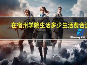 在宿州学院生活多少生活费合适