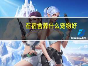 在宿舍养什么宠物好