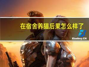 在宿舍养猫后果怎么样了