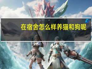 在宿舍怎么样养猫和狗呢