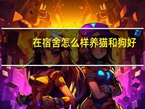 在宿舍怎么样养猫和狗好