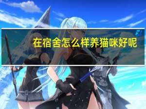 在宿舍怎么样养猫咪好呢