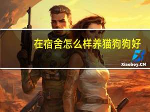 在宿舍怎么样养猫狗狗好