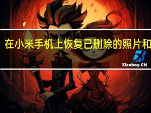 在小米手机上恢复已删除的照片和视频