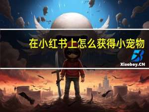 在小红书上怎么获得小宠物