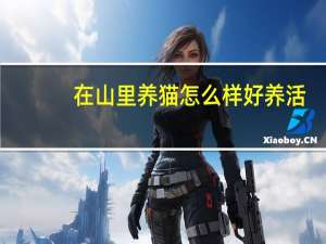 在山里养猫怎么样好养活