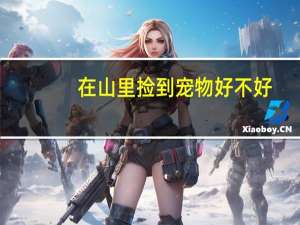 在山里捡到宠物好不好