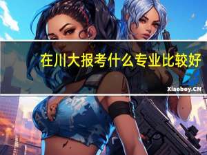 在川大报考什么专业比较好，我学的是文科