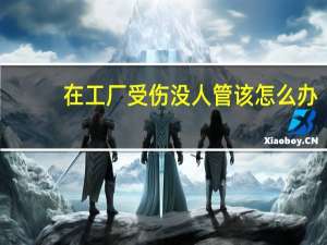 在工厂受伤没人管该怎么办