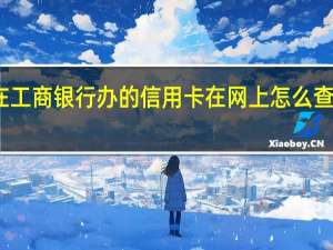 在工商银行办的信用卡在网上怎么查进度啊