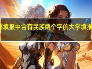 在平行志愿填报中含有民族两个字的大学填报后会优先录取吗
