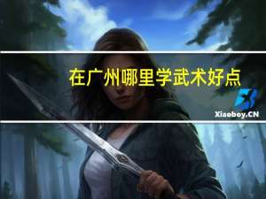 在广州哪里学武术好点，学费低，能快速学到东西的