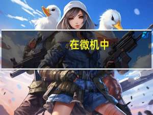 在微机中，vga的含义是什么