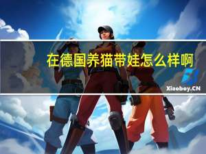 在德国养猫带娃怎么样啊