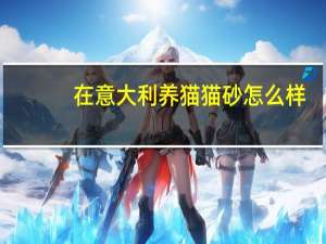 在意大利养猫猫砂怎么样