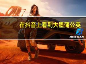 在抖音上看到大墨蒲公英，课效不错，身边的校画室也有他们类似的作品，大墨是从抖音上找的课题嘛